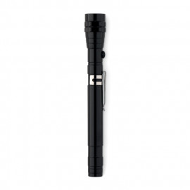 Extendable torch