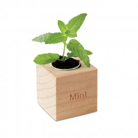 Herb pot wood 