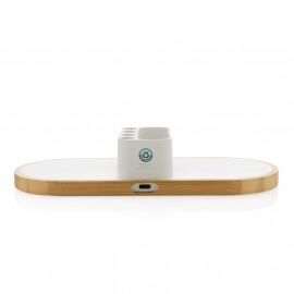 Ontario RCS rplastic 10W dual wireless