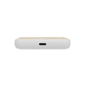 Zen RCS rplastic 5000 mah 5W magnetic bamboo powerbank