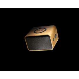 RCS Rplastic 3W speaker with bamboo 5W wireless