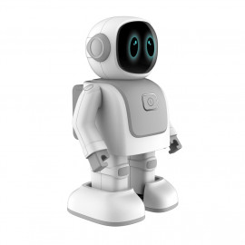 Robert the dancing robot