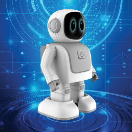 Robert the dancing robot