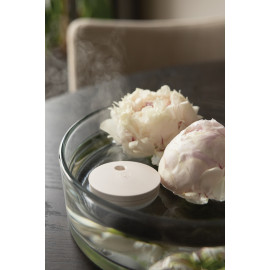 Breevia RCS rplasic re-chargeable floating humidifier
