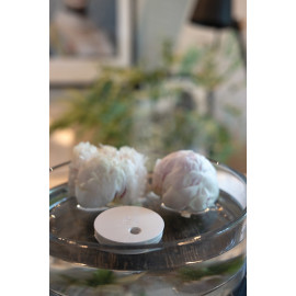 Breevia RCS rplasic re-chargeable floating humidifier