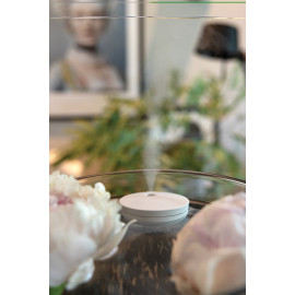 Breevia RCS rplasic re-chargeable floating humidifier
