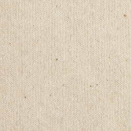 Iqoniq Denali recycled cotton crew neck undyed