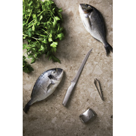 VINGA Hattasan fillet set