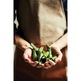 VINGA Asado Apron